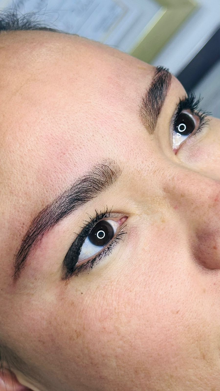 Laminado de Cejas
