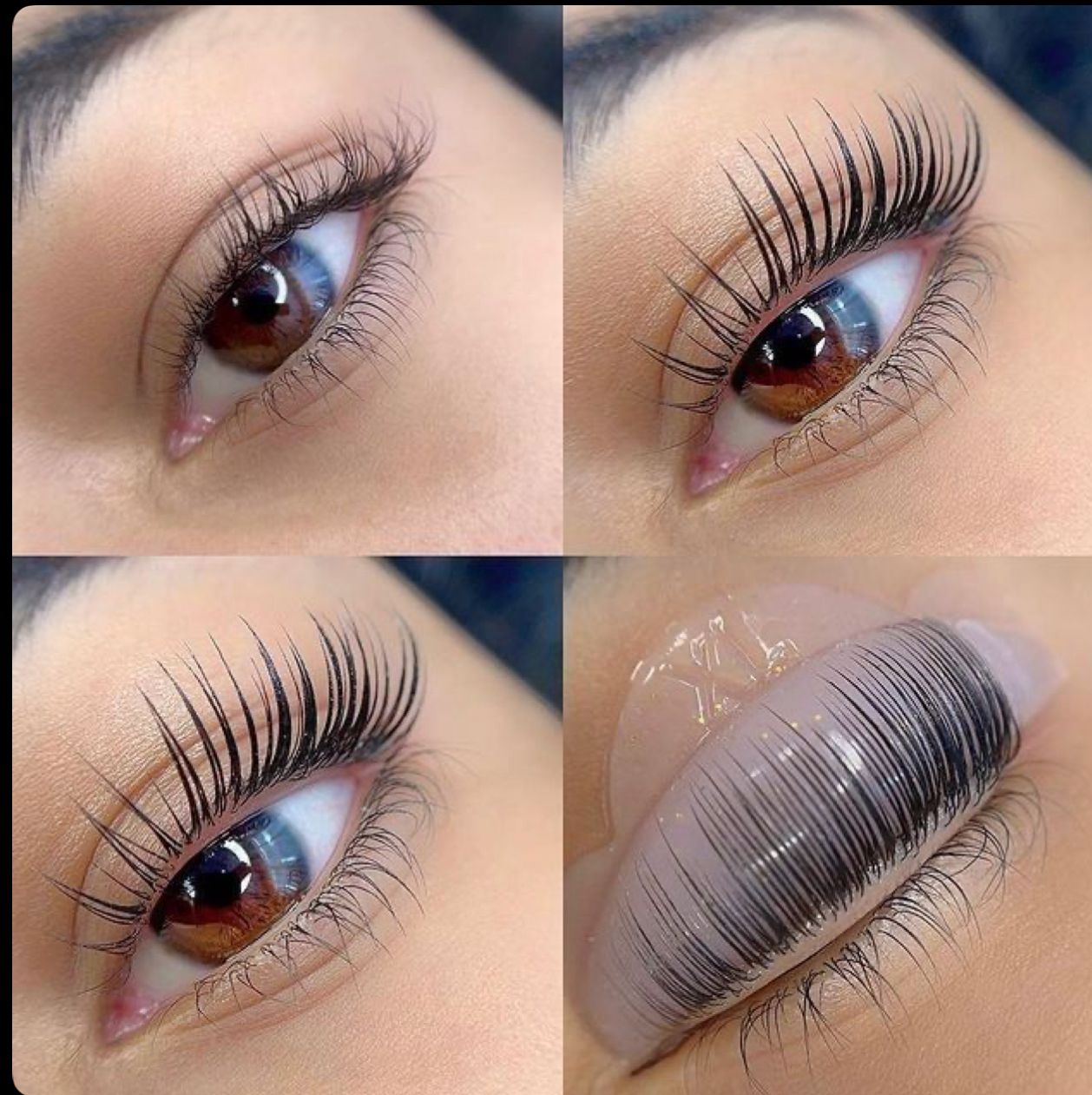 Lash Lifting Básico