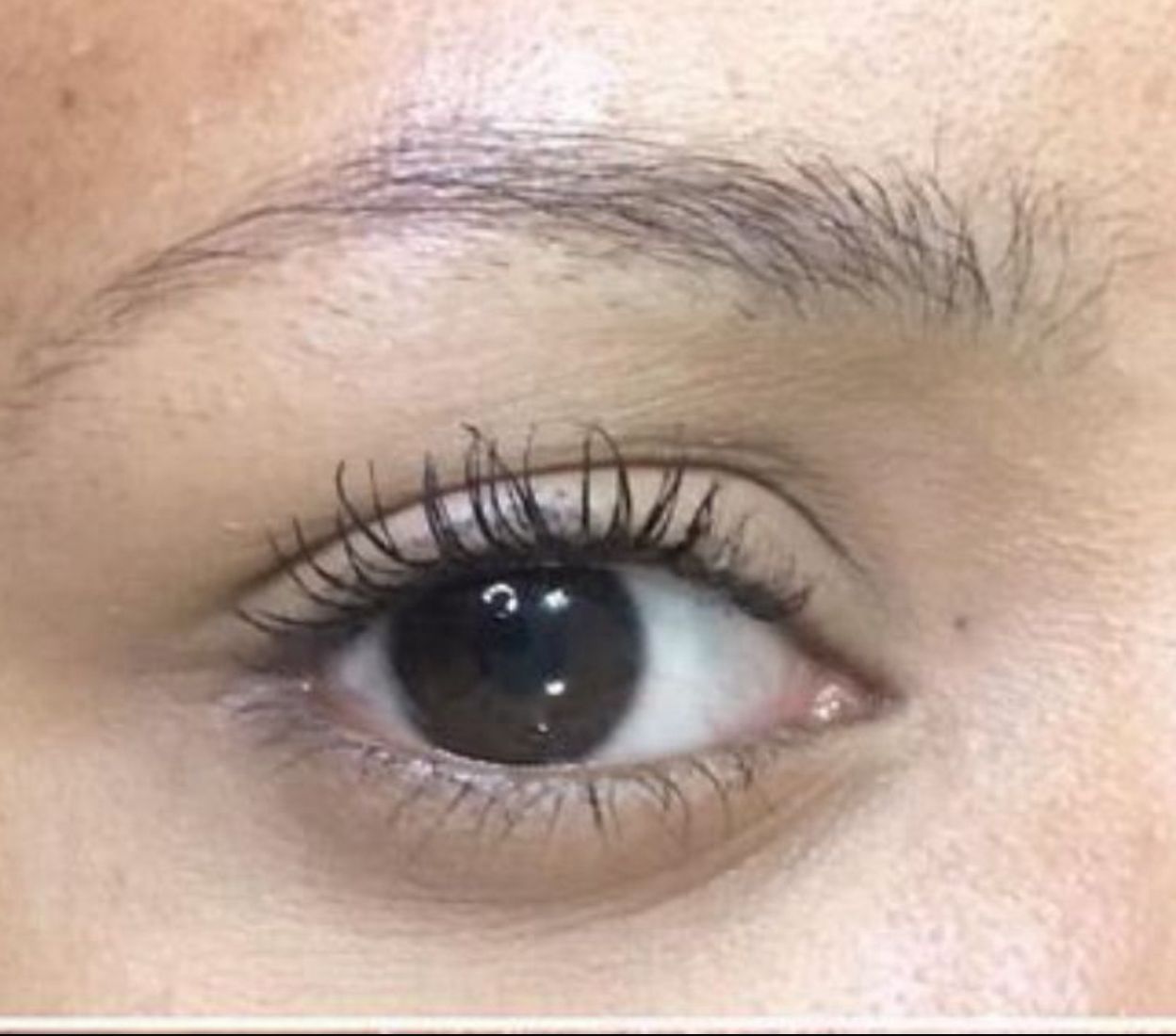 Perfect Brows